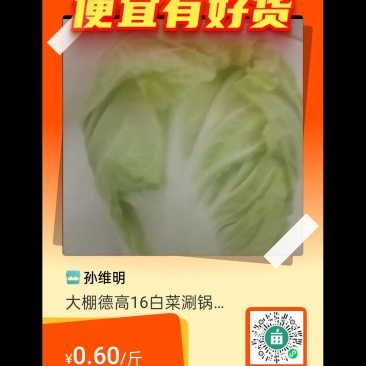 蔬涮锅转用德高16白菜，大鹏鲜货