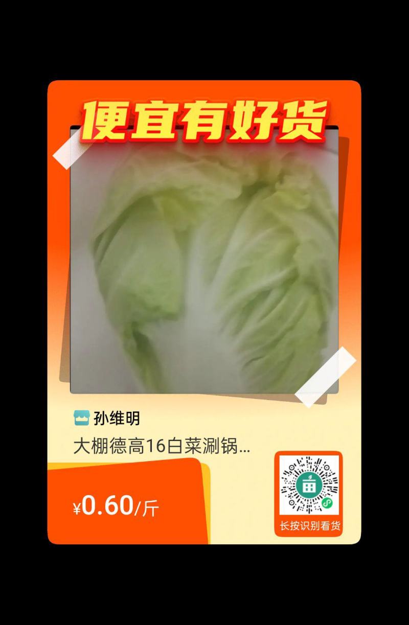 蔬涮锅转用德高16白菜，大鹏鲜货