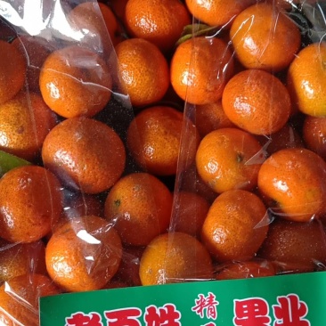 砂糖橘我们是专业的代办
