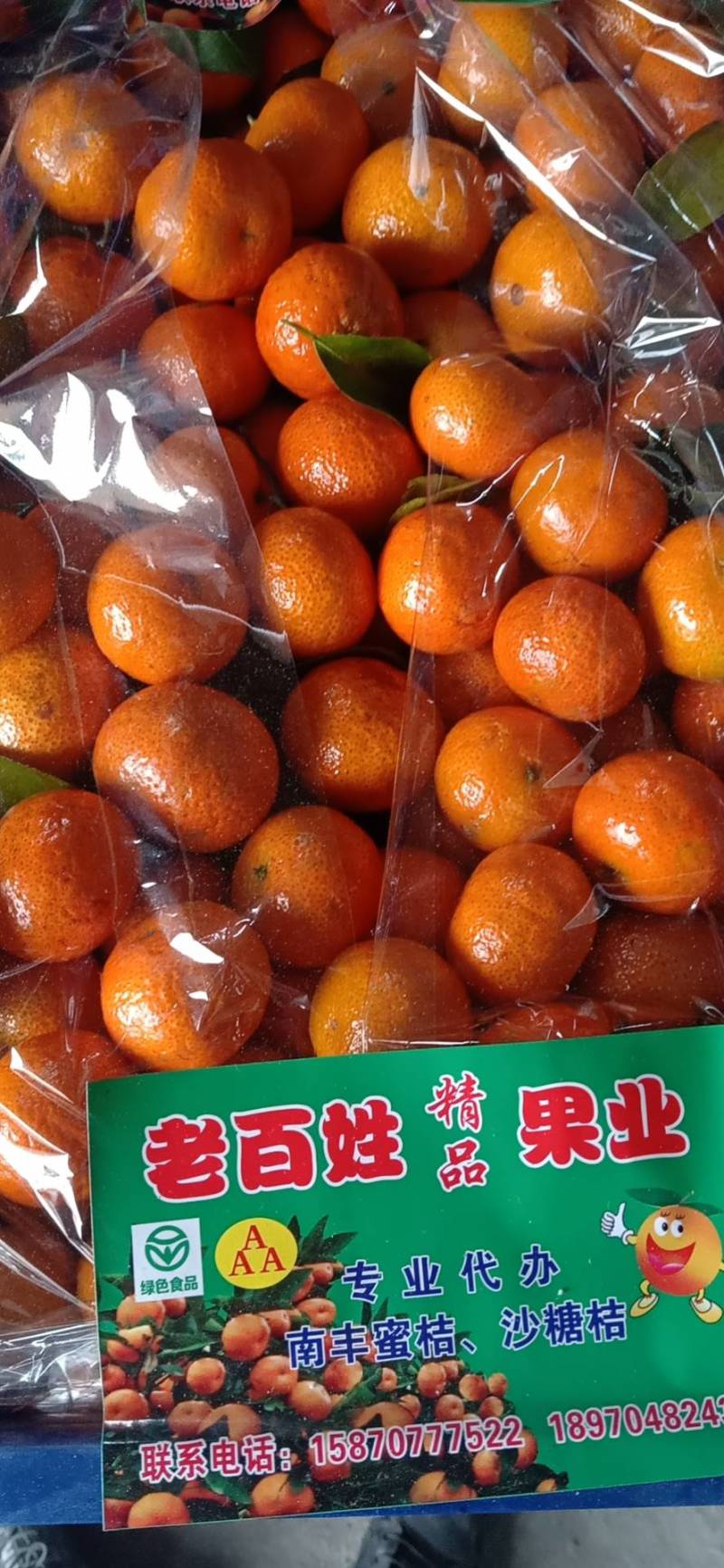 砂糖橘我们是专业的代办