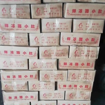 冷鲜猪小肚20斤新鲜猪尿泡40-50个生猪肚母猪小肚