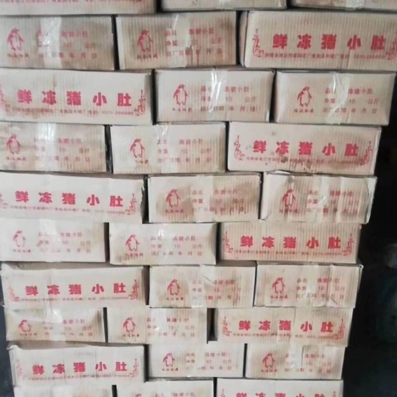 冷鲜猪小肚20斤新鲜猪尿泡40-50个生猪肚母猪小肚