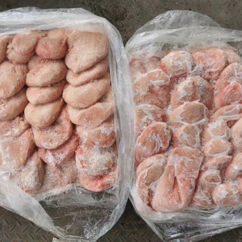 冷鲜猪小肚20斤新鲜猪尿泡40-50个生猪肚母猪小肚