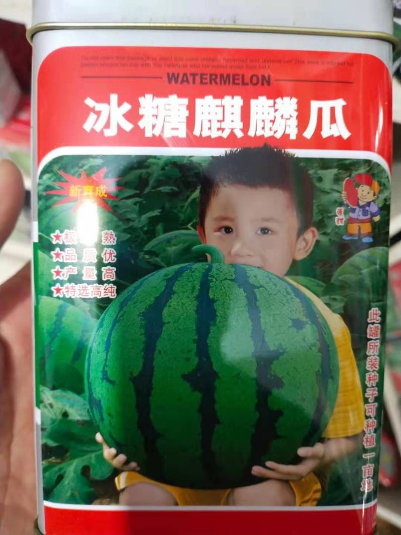 西瓜种子冰糖麒麟瓜早熟高糖糖13度以上