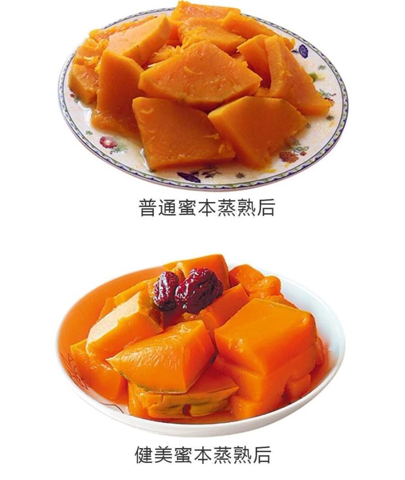 没有“大肚子”的蜜本南瓜，鼎牌健美蜜本南瓜种子面甜更纯正