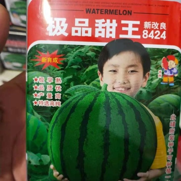 西瓜种子及品甜玉早熟，详细介绍请看包装说明谢谢！