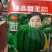 西瓜种子及品甜玉早熟，详细介绍请看包装说明谢谢！