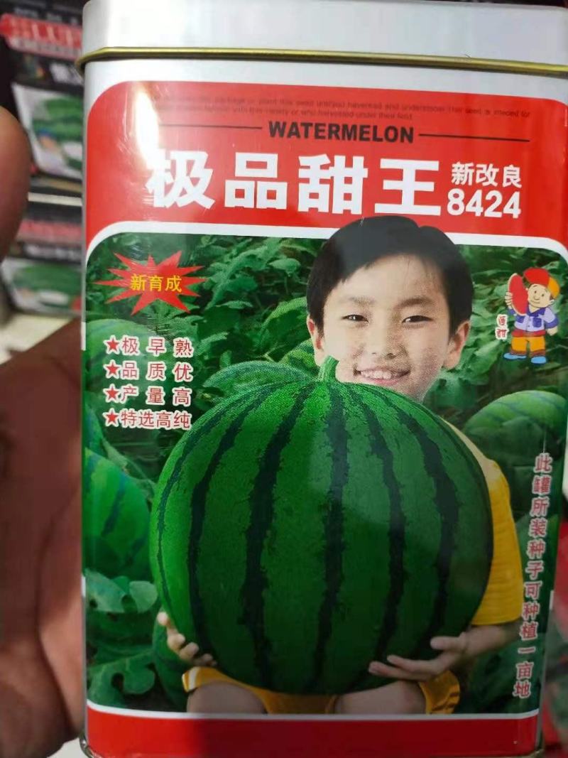 西瓜种子及品甜玉早熟，详细介绍请看包装说明谢谢！