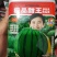 西瓜种子及品甜玉早熟，详细介绍请看包装说明谢谢！