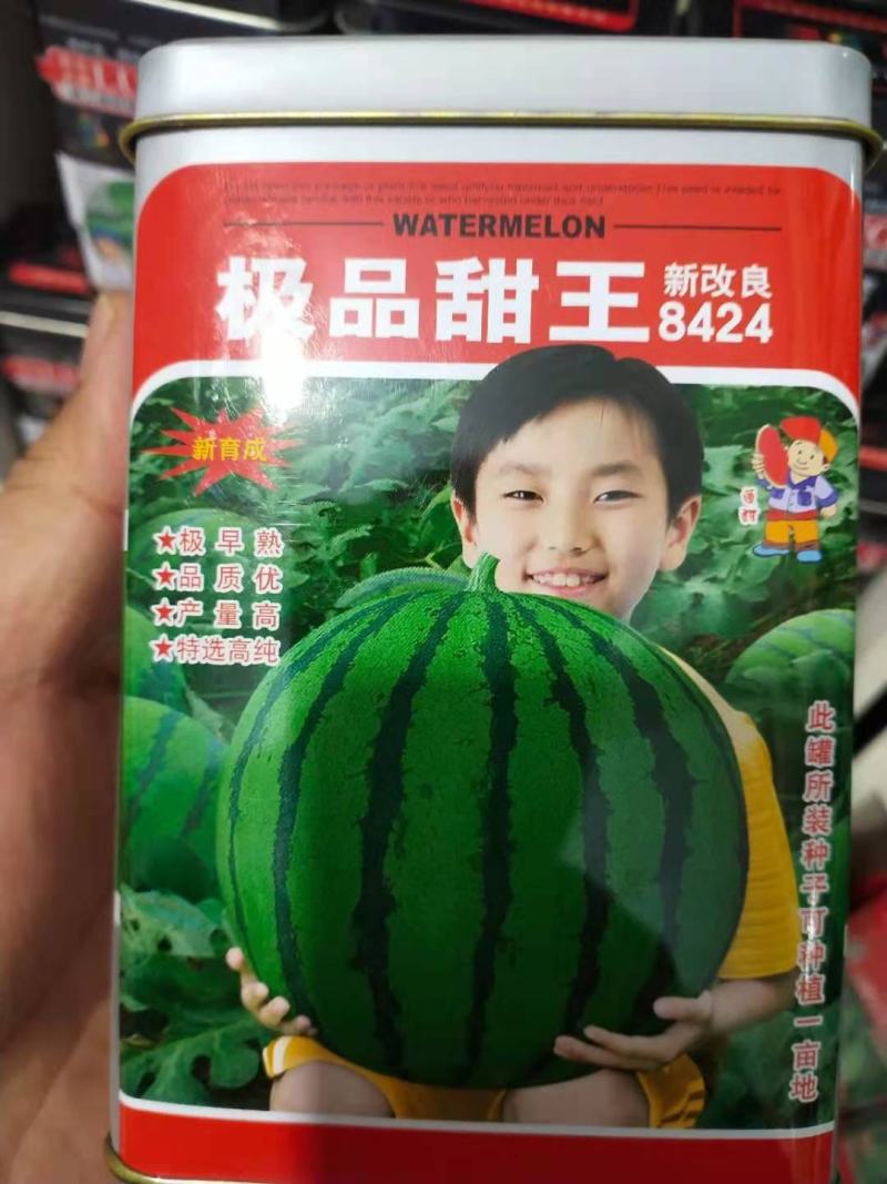 西瓜种子及品甜玉早熟，详细介绍请看包装说明谢谢！