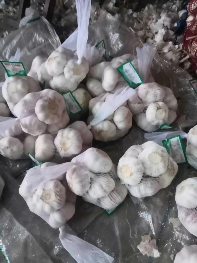 大蒜加工各种大小包装公司库内有各种规格大蒜可供选择