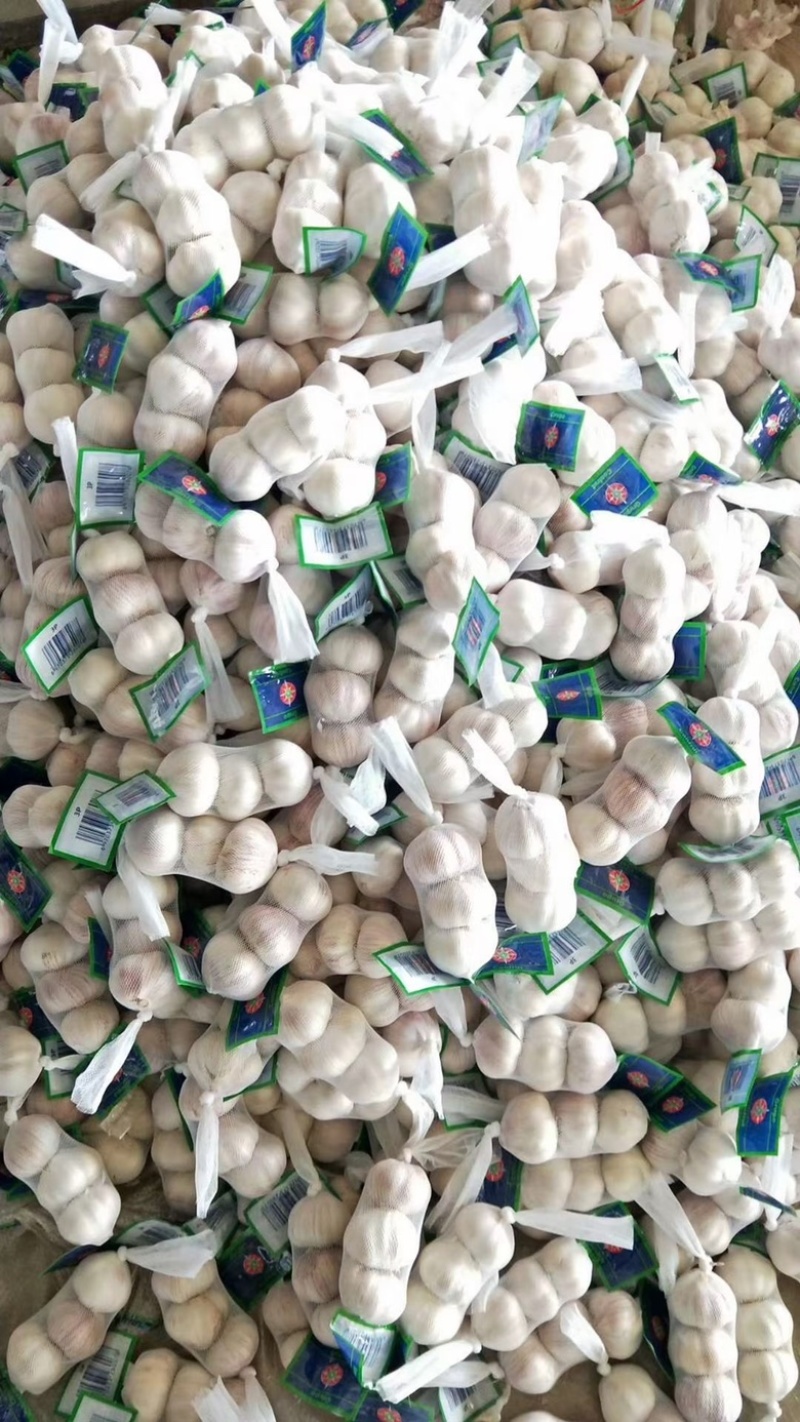 大蒜加工各种大小包装公司库内有各种规格大蒜可供选择