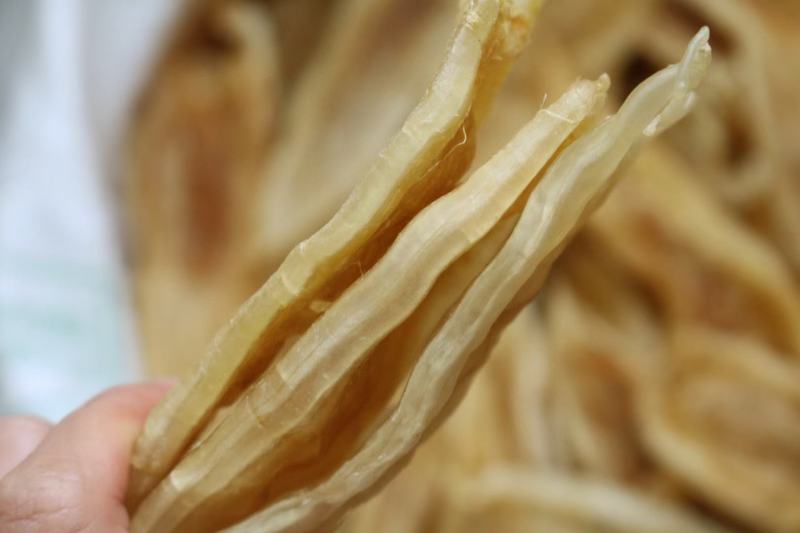 40头双背胶鱼胶花胶批发足干