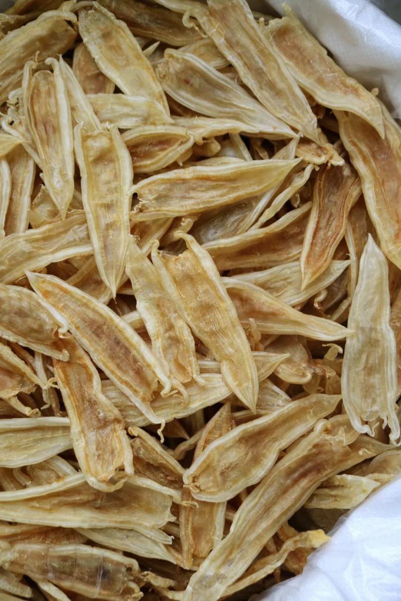 40头双背胶鱼胶花胶批发足干