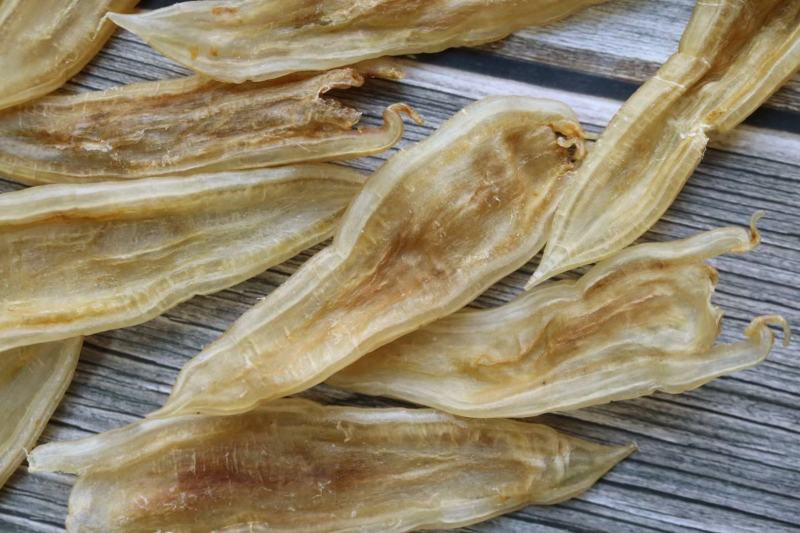 40头双背胶鱼胶花胶批发足干