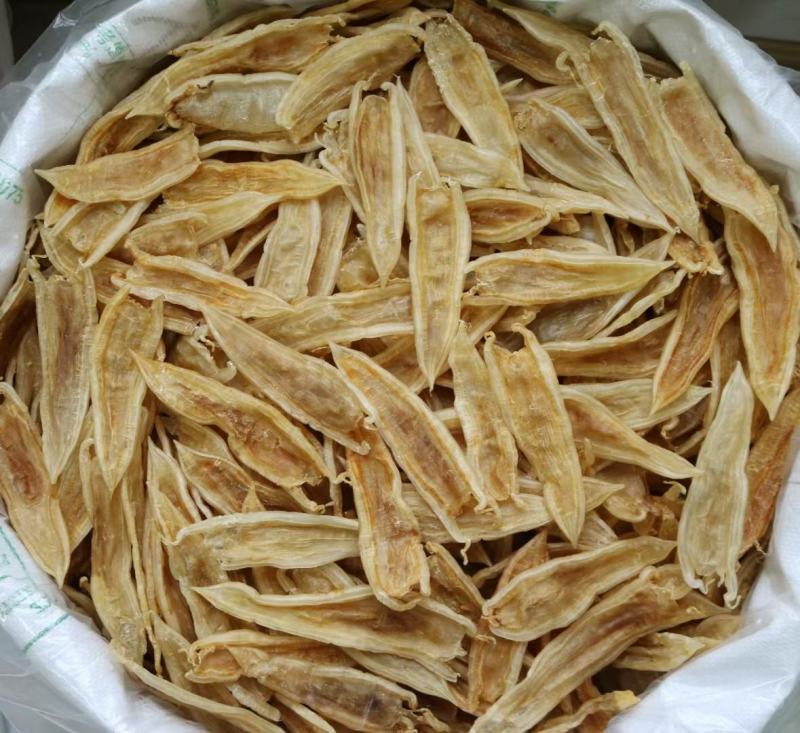 40头双背胶鱼胶花胶批发足干
