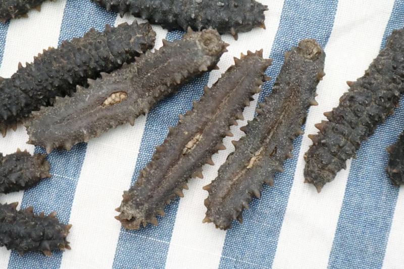 .45头印尼黑刺王海参品质高实惠