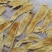 60头双背胶鱼胶花胶批发新货肉质新鲜完整漂亮货没有油面