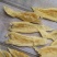 60头双背胶鱼胶花胶批发新货肉质新鲜完整漂亮货没有油面