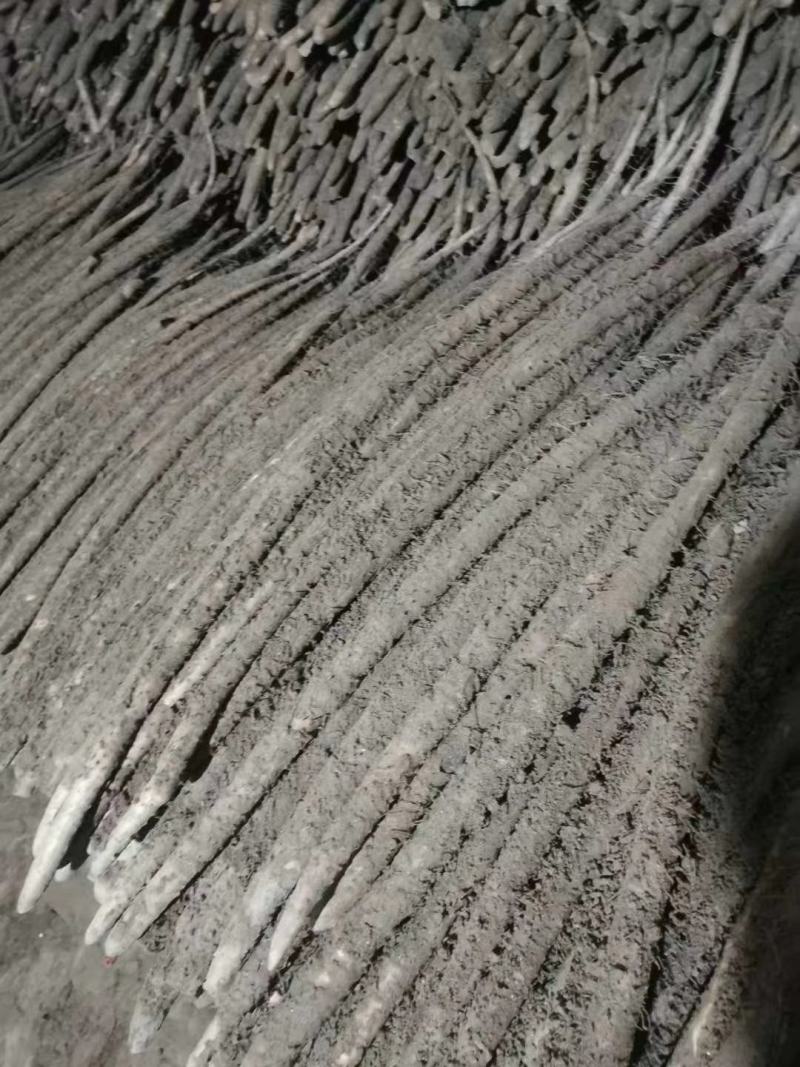 山药小白嘴白山药箱货网袋货大货二三路各种规格都有