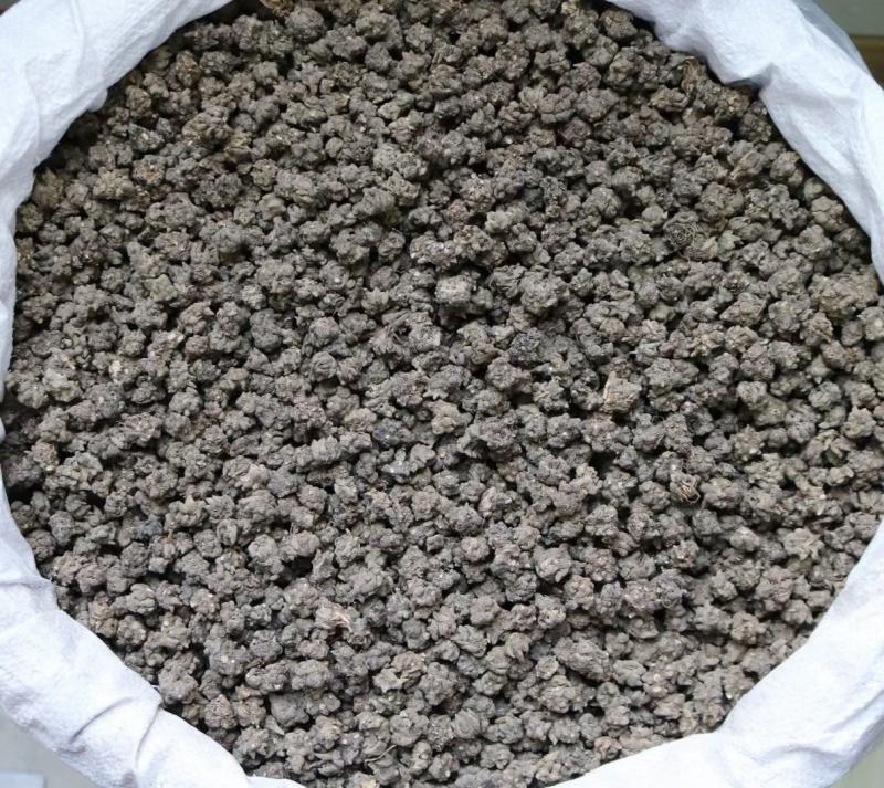 种植猫爪草个头完整没有碎