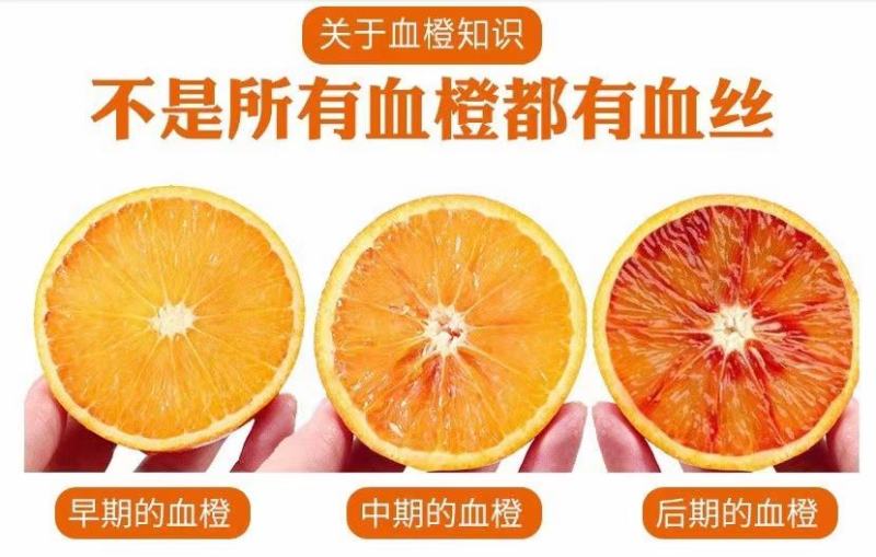 四川资中塔罗科血橙大量上市！大量供应社团，电商，市场