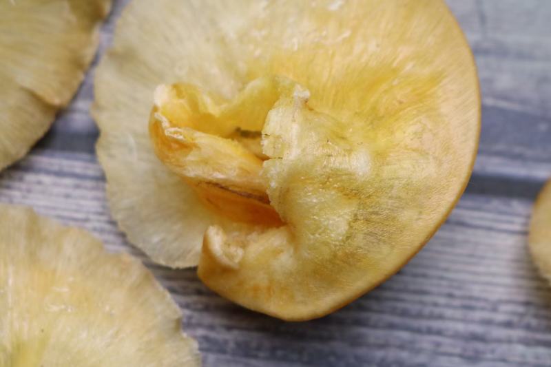 11头金钩鲍翅鱼翅鲍翅翅针多翅针软滑
