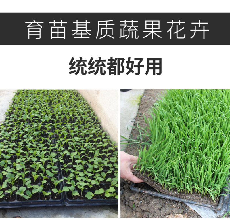 抗重茬生根粉微生物菌肥生根养根预防烂根死苗根肿猝倒根