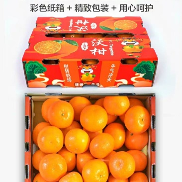 沃柑产地直供看货采摘诚信供应商欢迎订购