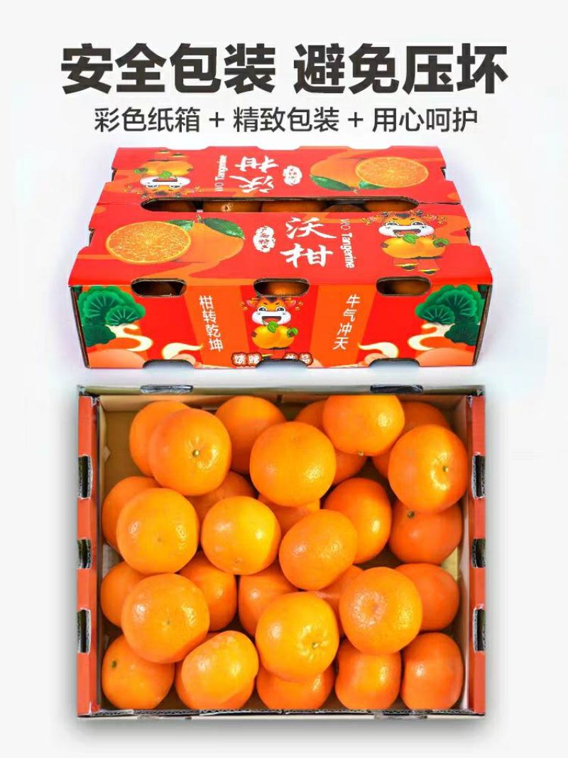 沃柑产地直供看货采摘诚信供应商欢迎订购