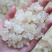 特上雪燕（全白，雪花）个头完整没有碎