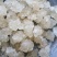 特上雪燕（全白，雪花）个头完整没有碎