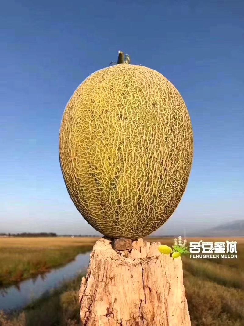大量预售八六王，可供应电商，对接超市。专业保证品质