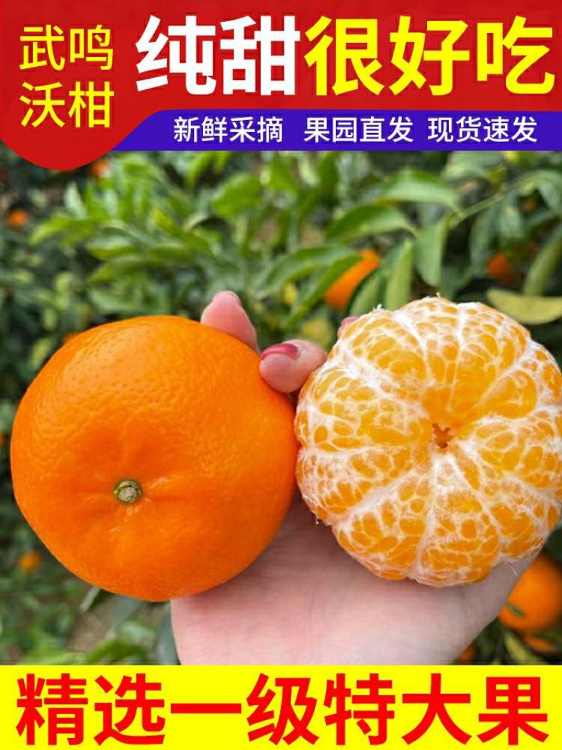 默科特入口化渣，产地现场采摘支持发货欢迎订购