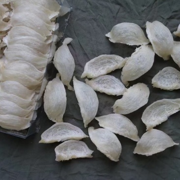 .纯干挑5A大盏燕盏印尼燕窝批发代发9干度50g670元