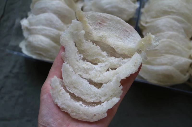 .纯干挑5A大盏燕盏印尼燕窝批发代发9干度50g670元