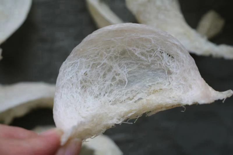 .纯干挑5A大盏燕盏印尼燕窝批发代发9干度50g670元