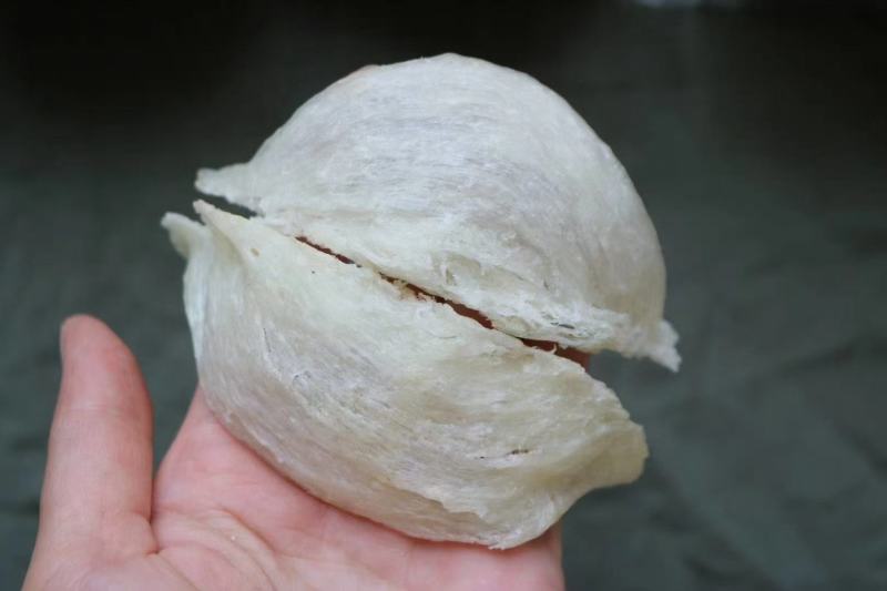 .纯干挑5A大盏燕盏印尼燕窝批发代发9干度50g670元