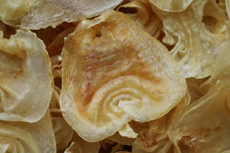30头印尼顺风赤嘴鱼胶花胶批发代发