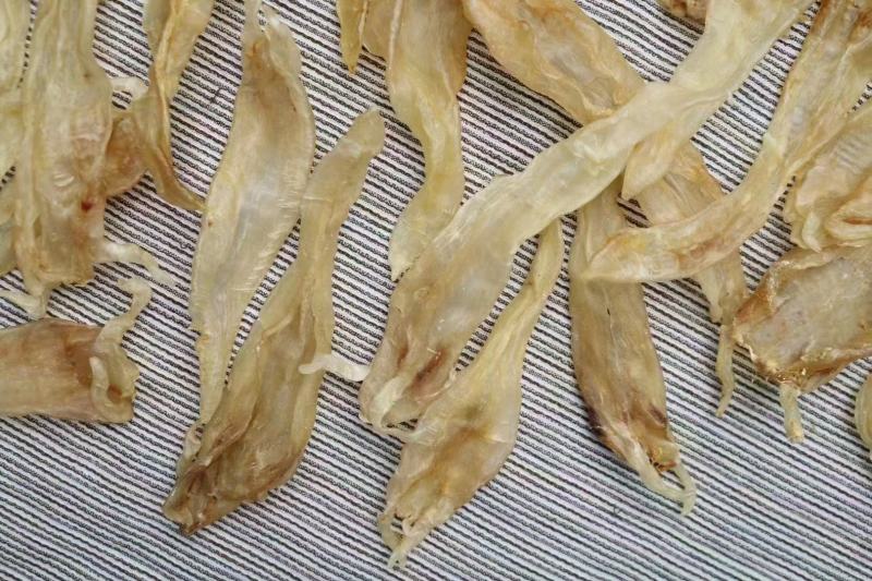 45头阴阳公鱼胶花胶批发胶质丰富