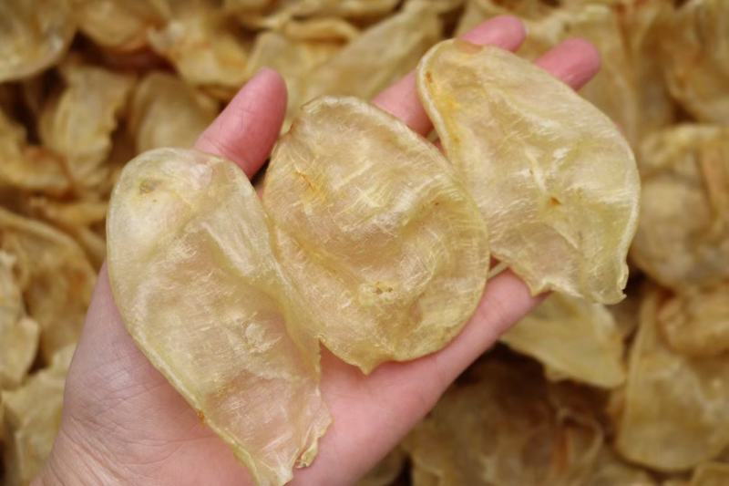 国产特大号鸡蛋胶60头鱼胶花胶批发