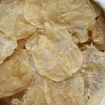 20头越南蜘蛛胶开边鱼胶花胶批发
