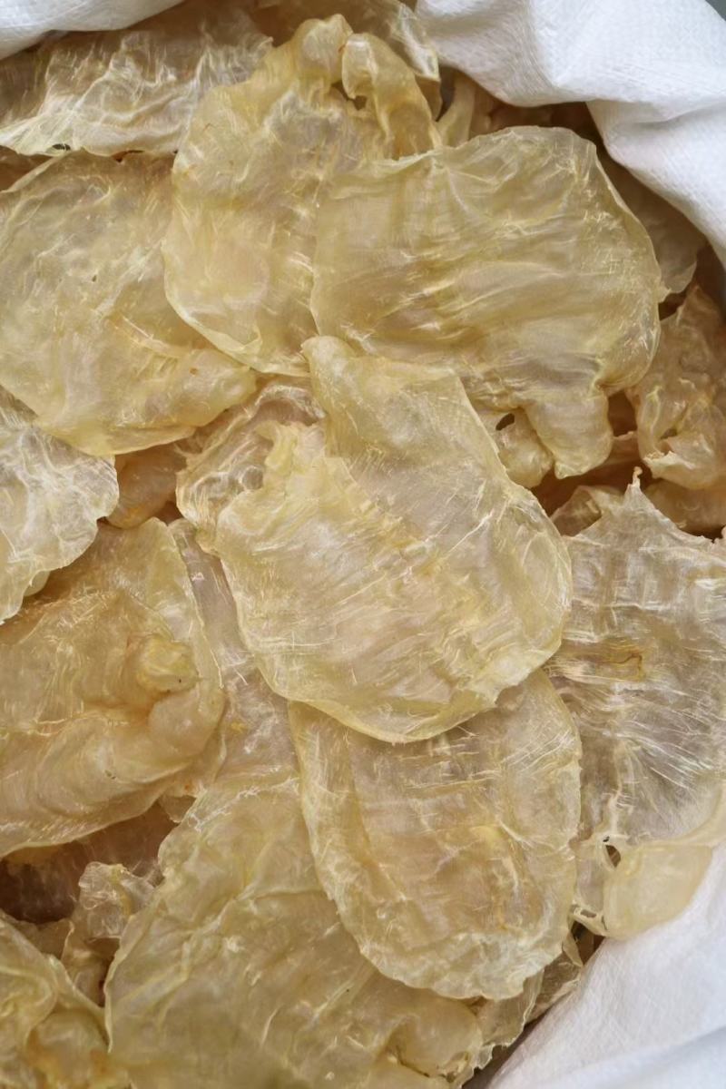 20头越南蜘蛛胶开边鱼胶花胶批发
