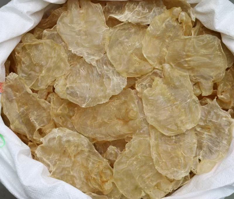 20头越南蜘蛛胶开边鱼胶花胶批发