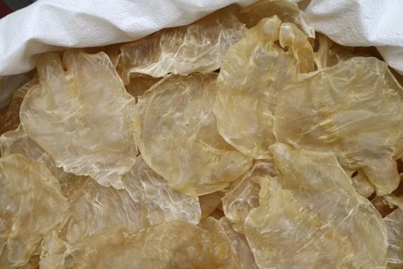20头越南蜘蛛胶开边鱼胶花胶批发