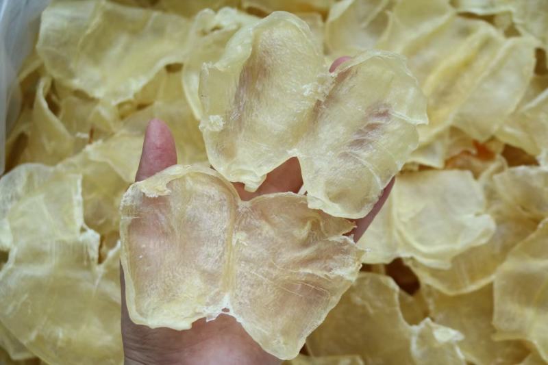30头蝴蝶肚腥味淡鱼胶花胶批发代发