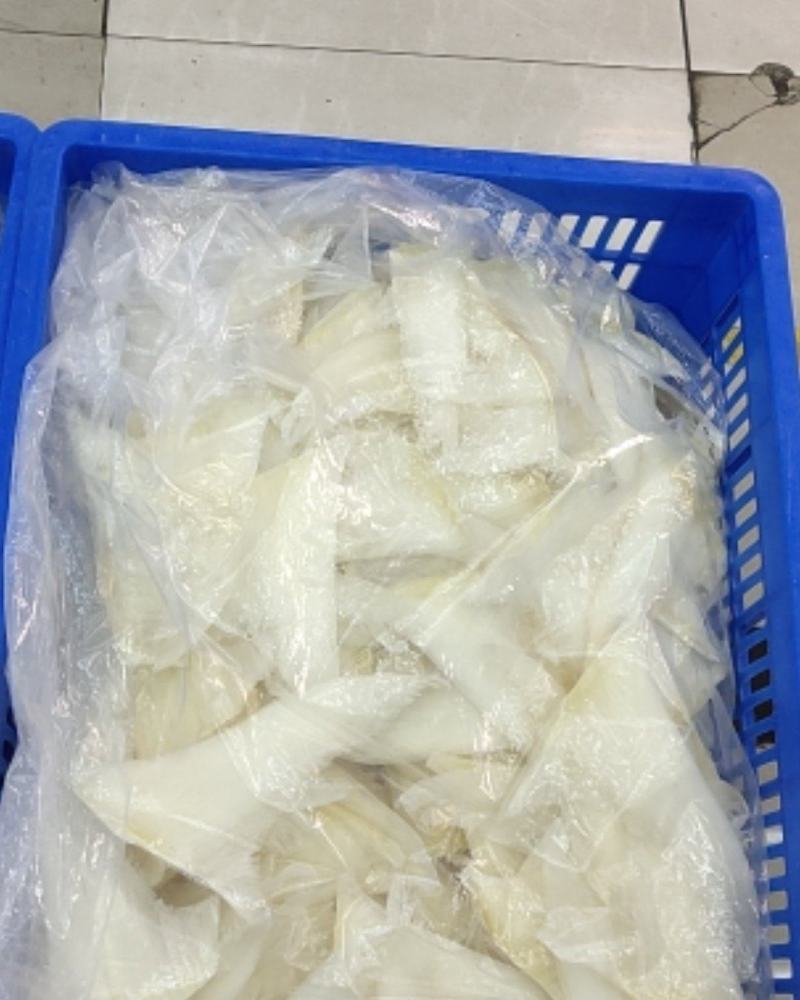 鱼翅批发行！有量有价！
