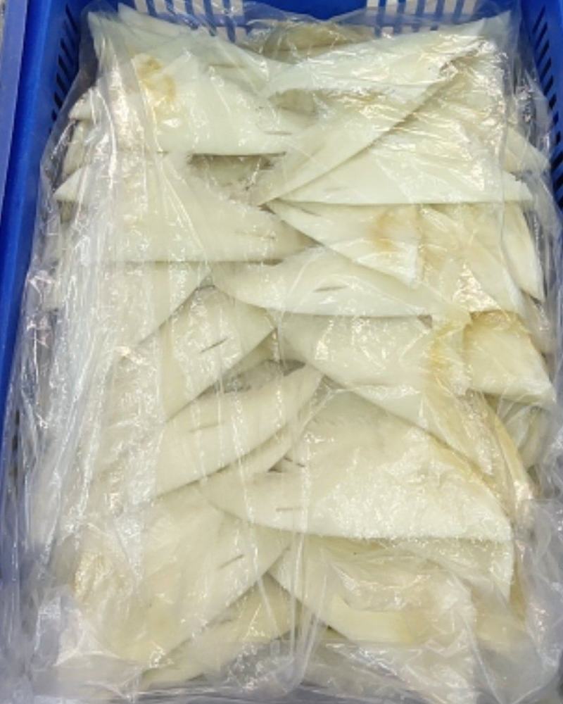 鱼翅批发行！有量有价！
