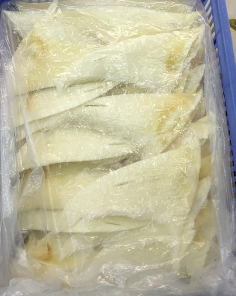 鱼翅批发行！有量有价！