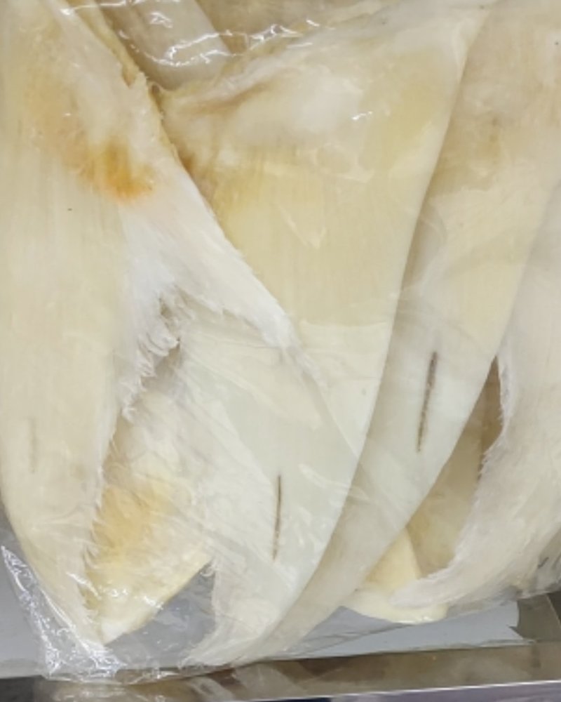 鱼翅批发行！有量有价！